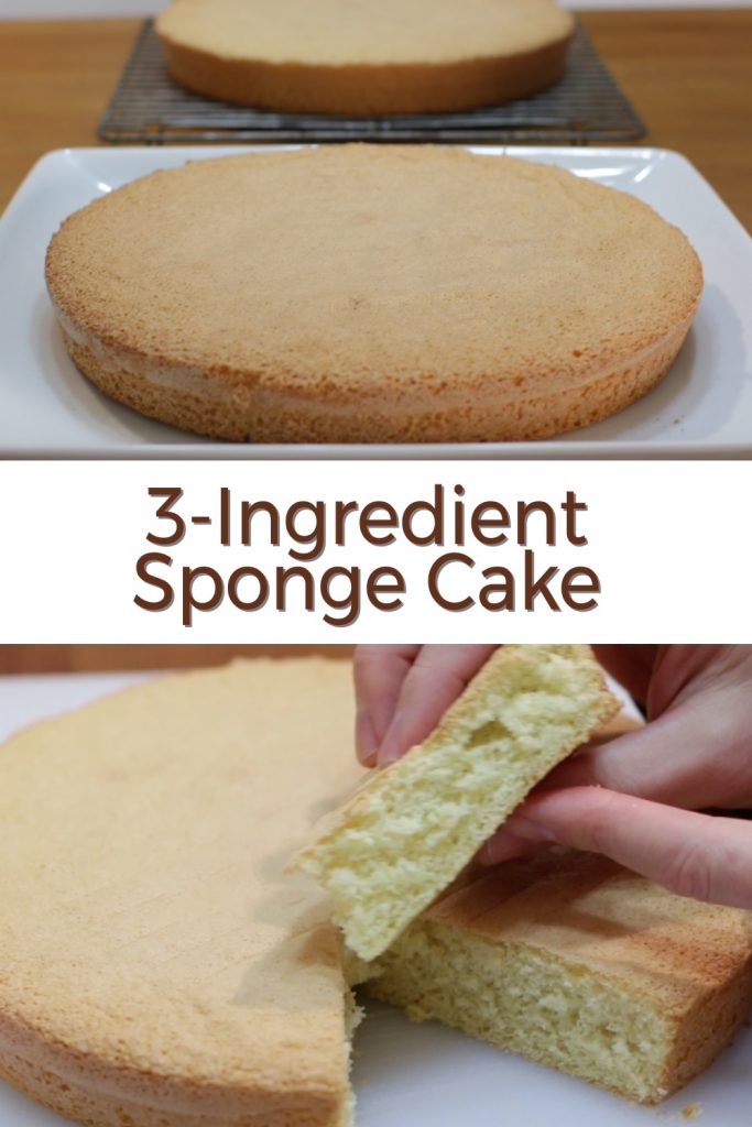 3-Ingredient Classic Sponge Cake 